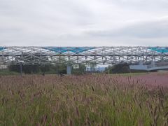 -灞河西岸滨河公园