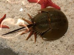 -福州罗源湾海洋世界旅游区