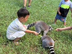-秦皇岛野生动物园