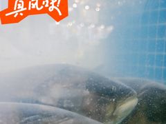 -浔味·山屿湖·正宗淳牌全鱼宴老字号