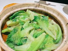 粤式虾膏啫生菜-尚一汤 广东炖汤(金桥国际店)