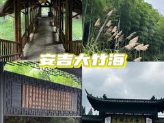 -老李家土菜馆·安吉地标美食