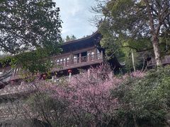 -韬光茶庵
