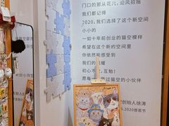 -猫的天空之城概念书店(大学路店)