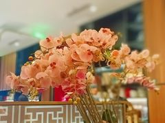 -新白鹿餐厅(松江开元地中海店)