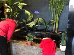 -大鸭梨烤鸭(顺义石园店)