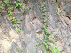 -青岛第三海水浴场