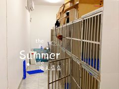 -柚子宠物(伊珊娜调理店)