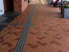 -香港大学