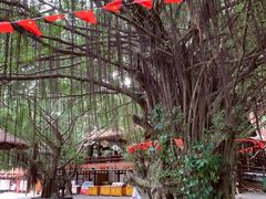 -海南槟榔谷黎苗文化旅游区