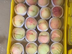 -老袁家蜜桃农场·阳山水蜜桃