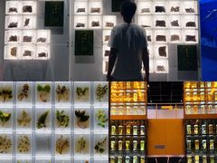 -广东中医药博物馆