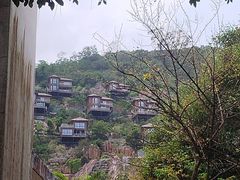 -东南花都花博园