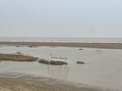 -启东黄金海滩景区