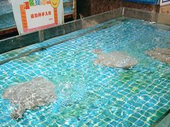 -香山湖家家宴(中山陵店)
