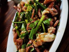 温拌八爪鱼-正宗天津烧麦馆(柳州路店)