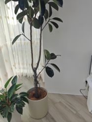 -HEYAN荷妍专业脱毛连锁机构