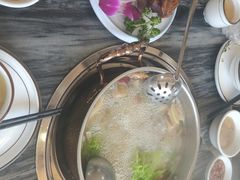 -鸽鸟轩(石岐店)