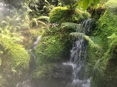 -Chom Cafe and Restaurant