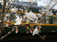 -新天地活力PARK