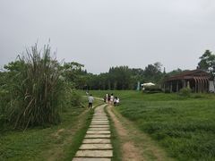 -桤木河湿地公园