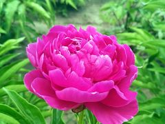 -长春公园(普阳街道)