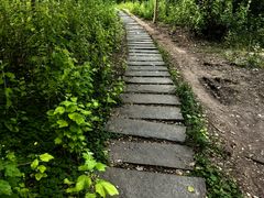 -长春市南湖公园