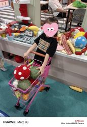 -宝燕乐园(春申店)