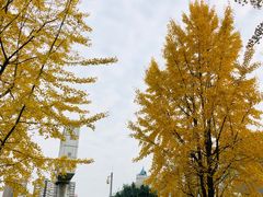 -四川大学(望江校区)