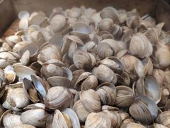 -海纳百川(义乌店)