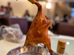 -强记烧鸡(信业悦都汇店)