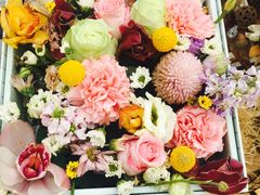-北马山庄植趣咖啡