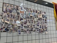-半岛宠物医院24小时(科华中路店)