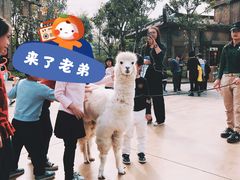 -广州融创文旅城