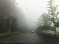 -铁山坪森林公园