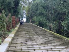 -李冰陵园