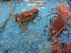 -徐记海鲜(大雁塔|金都店)