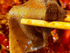 -小龙坎火锅(春熙太古里店)