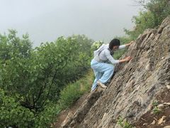 -阳台山自然风景区