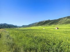 -扁都口生态休闲旅游区