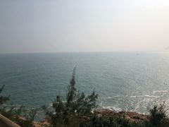 -广东惠东海龟国家级自然保护区