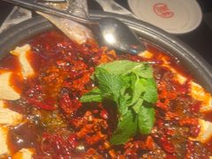 -探鱼·鲜青椒爽麻烤鱼(广州花都来又来店)