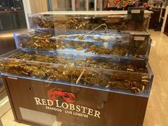 -RED LOBSTER(环球影城大阪店)
