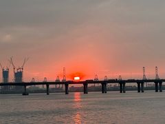 -宝安西湾红树林湿地公园