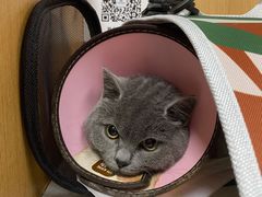 -联合动物医院(光谷诊疗中心)