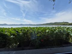 -湖畔居茶楼(湖滨店)