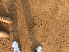 -日照灯塔风景区