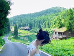 -武陵山森林公园