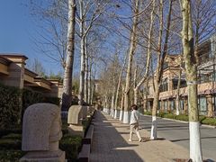 -春晖园度假酒店温泉