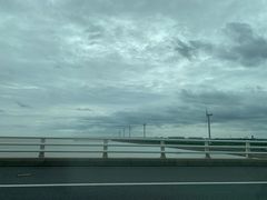 -东平国家森林公园